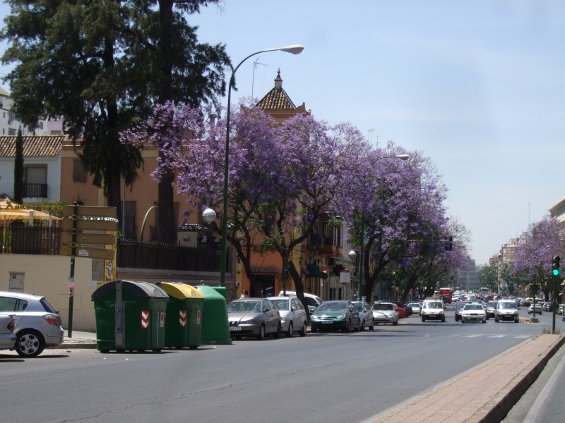 Anadalusien 2009 - 0619 